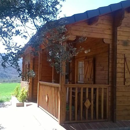 Olocau del Rey La Casa Del Estanqueヴィラ エクステリア 写真