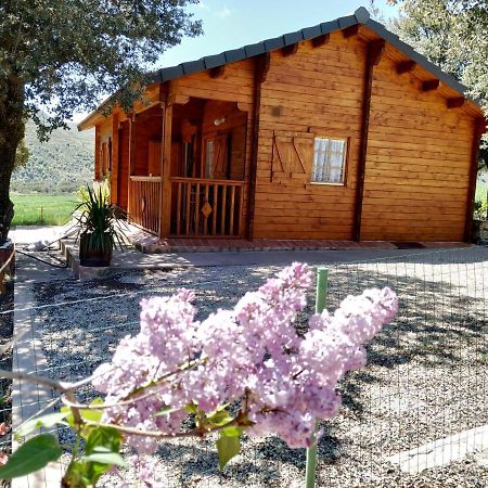 Olocau del Rey La Casa Del Estanqueヴィラ エクステリア 写真