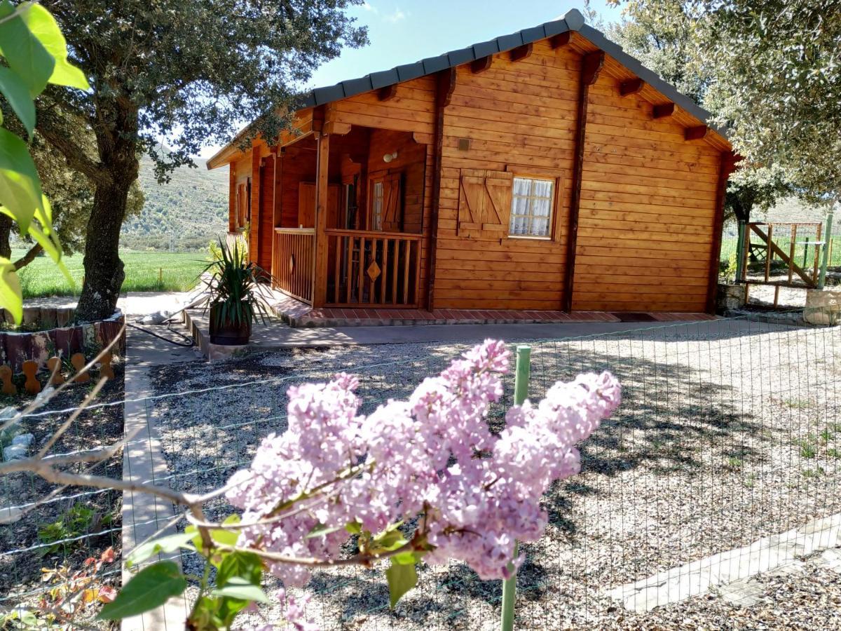 Olocau del Rey La Casa Del Estanqueヴィラ エクステリア 写真