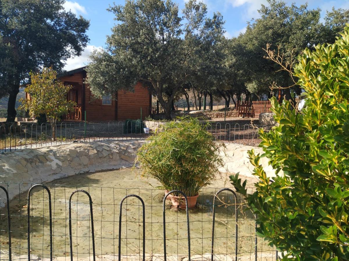 Olocau del Rey La Casa Del Estanqueヴィラ エクステリア 写真