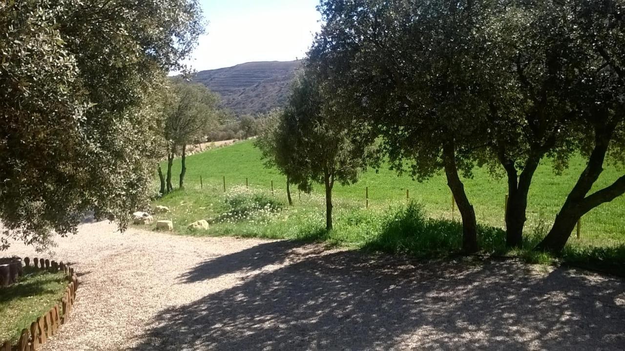 Olocau del Rey La Casa Del Estanqueヴィラ エクステリア 写真